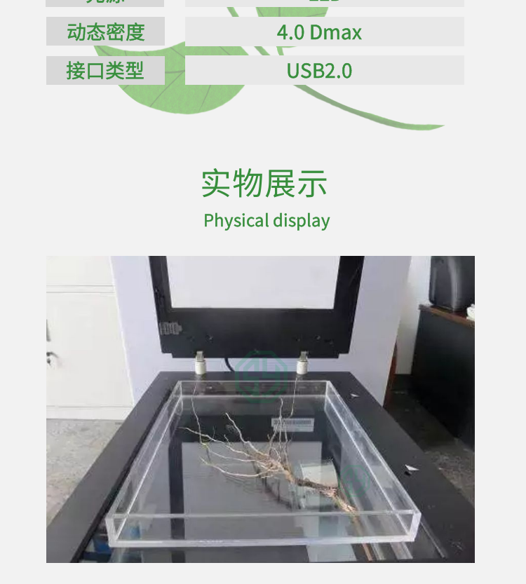 根系分析系统WinRHIZO-1