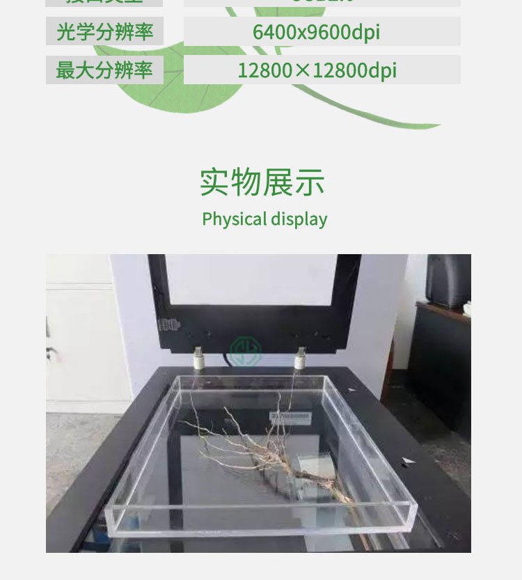 根系分析系统WinRHIZO-2