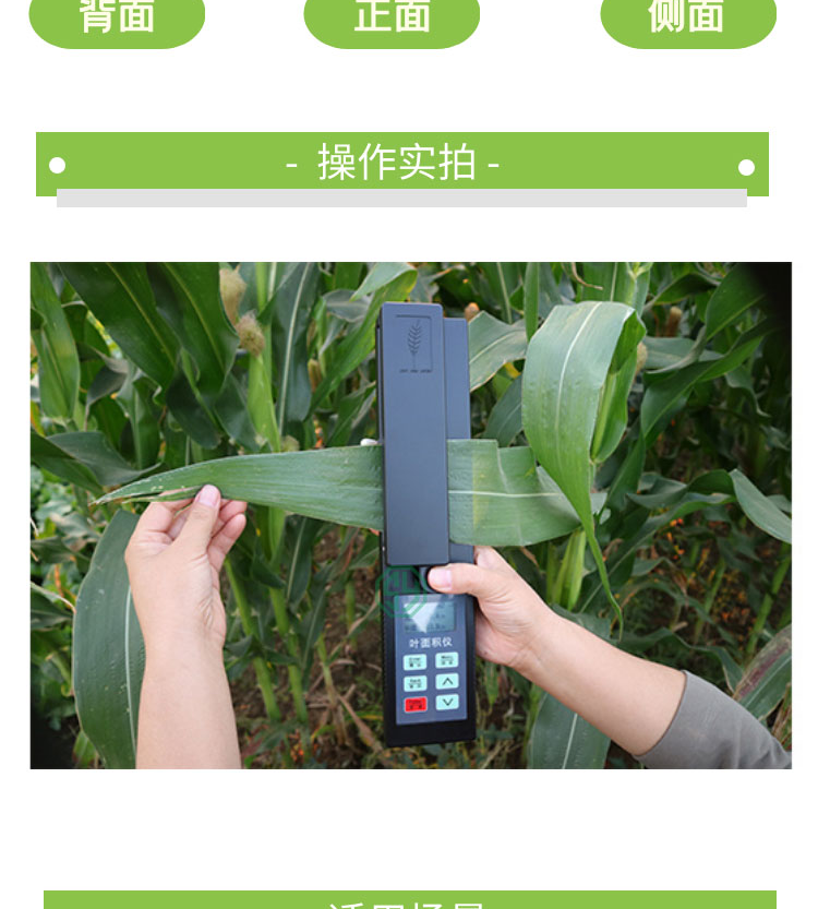 活体叶面积仪SYS-LAM-G