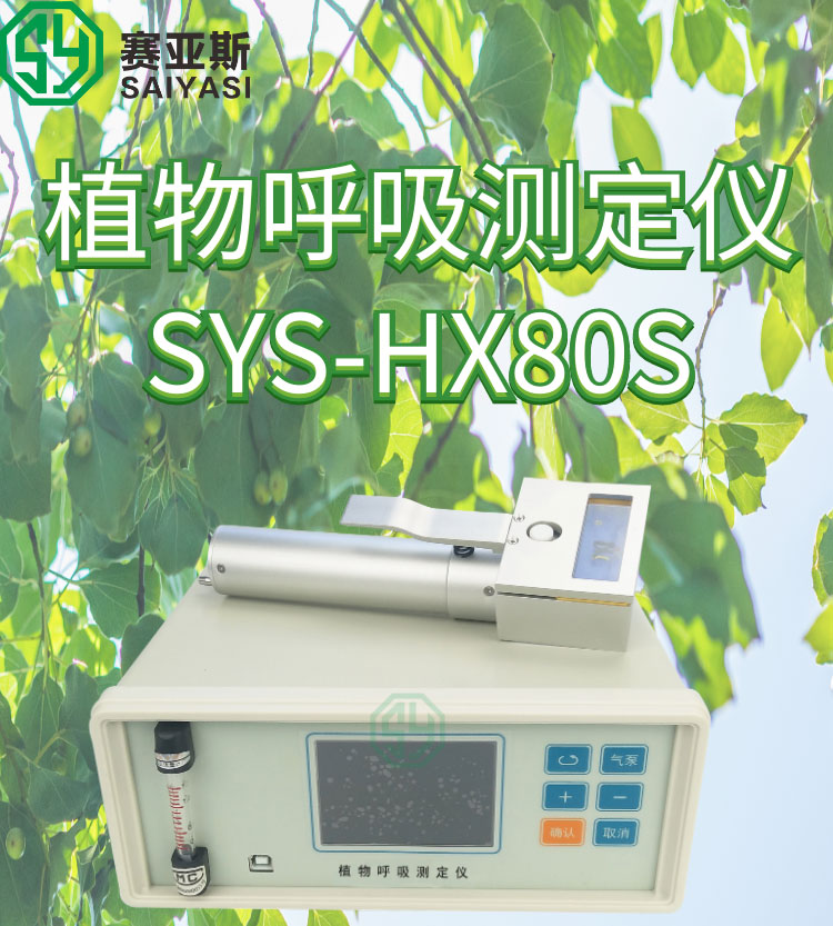 植物呼吸测定仪SYS-HX80S