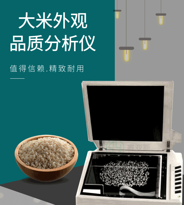 大米外观品质分析仪SYS-DMW