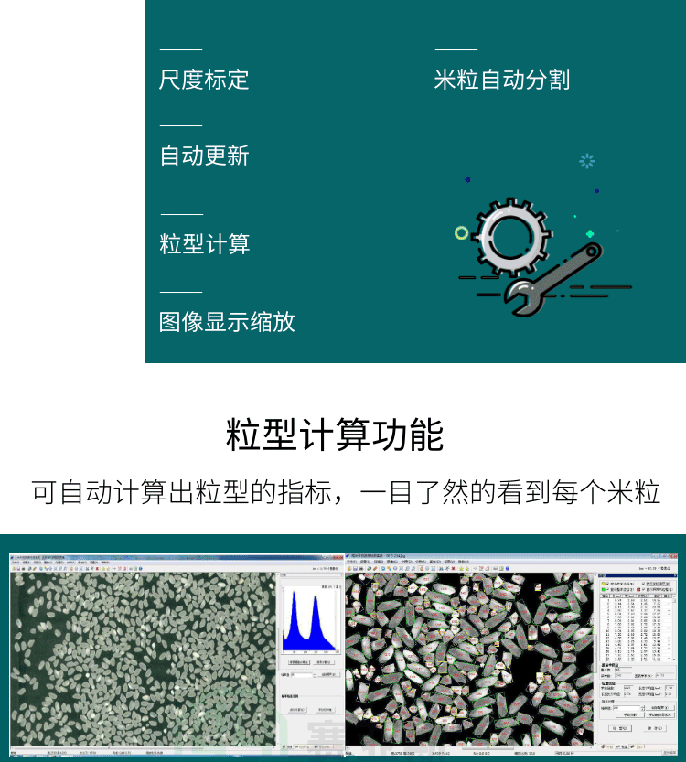 大米外观品质分析仪SYS-DMW