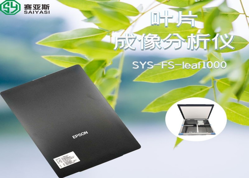 叶片图像分析仪SYS-FS-leaf1000