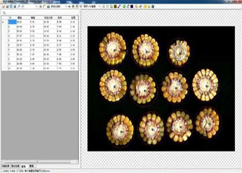 玉米考种分析系统SYKZ-A