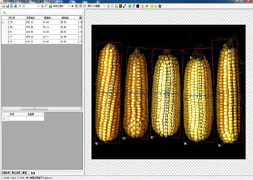 玉米考种分析系统SYKZ-A