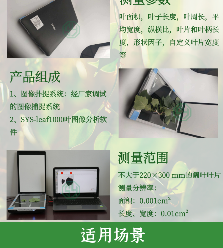 叶片图像分析仪SYS-FS-leaf1000
