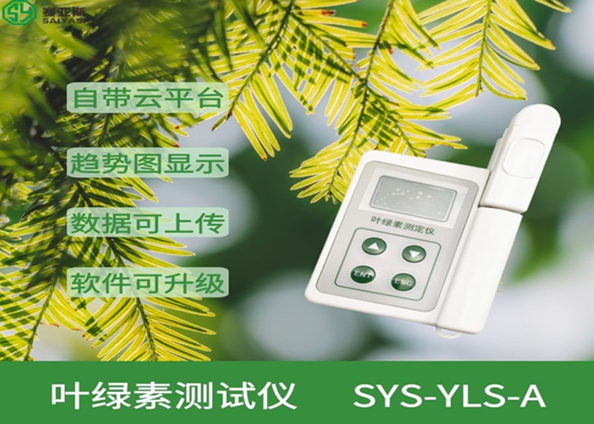 叶绿素测试仪SYS-YLS-A